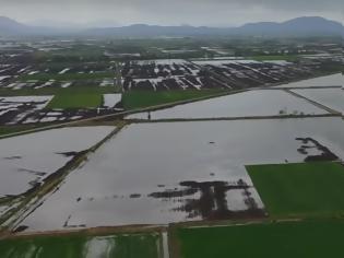 Φωτογραφία για βίντεο από τον πλημμυρισμένο κάμπο της Κωπαΐδας από τις βροχές του Απριλίου