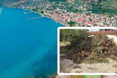 Την Μεγάλη Δευτέρα το φορτηγό του Δήμου θα μαζέψει τα κλαριά στον ΑΣΤΑΚΟ!