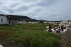 Παράπονα για τα ΧΟΡΤΑ στο Νεκροταφείο ΒΟΝΙΤΣΑΣ - [ΦΩΤΟ]