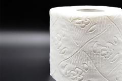 Χτύπησε τη μητέρα του για το χαρτί υγείας