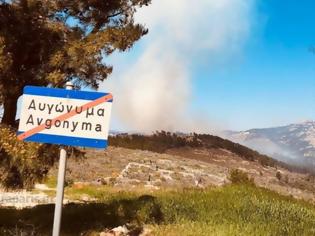 Φωτογραφία για Υπό μερικό έλεγχο η μεγάλη πυρκαγιά στην περιοχή Ανάβατου στη Χίο