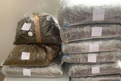 Τον έπιασαν με 100 κιλά κάνναβης, του έριξαν και πρόστιμο 300 ευρώ