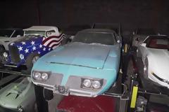 300 αυτοκίνητα-«κοσμήματα» είδαν το φως του ήλιου μετά από 40 χρόνια! (+video)