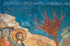 Τῆς ξηρανθείσης συκῆς δια την ἀκαρπίαν το ἐπιτίμιον φοβηθέντες, ἀδελφοί, καρπούς ἀξίους τῆς μετανοίας προσάξωμεν Χριστῷ,