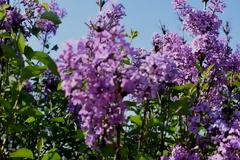 Οι πρώτες εκτιμήσεις για τον καιρό το Πάσχα