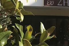 Greece: Retirement home in Nea Makri placed in quarantine