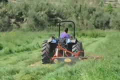 ΕΛΓΑ: Τη Μ. Τετάρτη πληρώνει αποζημιώσεις 19 εκατ. ευρώ