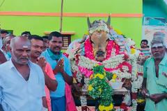 Ινδία-Καραντίνα: «Έσπασαν» την απαγόρευση συναθροίσεων για την κηδεία ενός ταύρου!