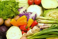 Η δυτική Ευρώπη αναζητά λύσεις για να μη σαπίσει η σοδειά στα χωράφια