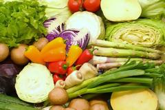 Η δυτική Ευρώπη αναζητά λύσεις για να μη σαπίσει η σοδειά στα χωράφια