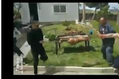 Video Tik Tok από τη Ναύπακτο σκορπά γέλιο: Ακούνε τη σειρήνα και τρέχουν μαζί με το αρνί…