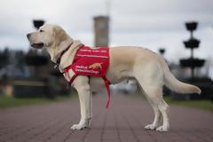 Το νέο μας όπλο ενάντια στην πανδημία είναι ο καλύτερος φίλος του ανθρώπου;