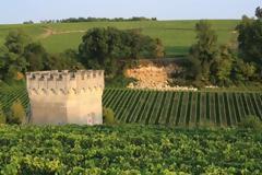 Χαλαζόπτωση κατέστρεψε χιλιάδες στρέμματα αμπελώνων στο Μπορντό της Γαλλίας