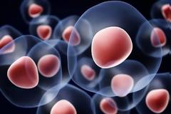 Θεραπεία με μεσεγχυματικά βλαστικά  κύτταρα από ασθενείς με κοροναϊό