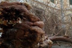 Aπίστευτη τραγωδία αποφεύχθηκε σε σχολείο της Θεσσαλονίκης ...λόγω διακοπών και Κορονοϊού (pics)