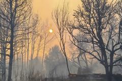 Τσερνόμπιλ: Ασήμαντη η ποσότητα ραδιενέργειας στην Ελλάδα