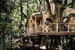 Τέξας: Γιατρός έκανε καραντίνα σε... δεντρόσπιτο