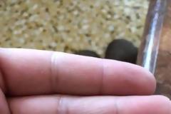 Μενίδι: Αδέσποτη σφαίρα καρφώθηκε στο τζάμι αυτοκινήτου