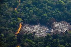 Αμαζόνιος: Τρομακτική καταστροφή του «πνεύμονα» του πλανήτη