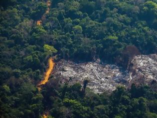Φωτογραφία για Αμαζόνιος: Τρομακτική καταστροφή του «πνεύμονα» του πλανήτη