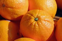 Συμμορία γυναικών πήγε να κλέψει 3,5 τόνους πορτοκάλια!