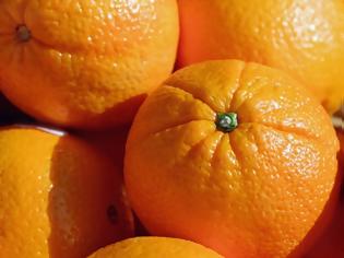 Φωτογραφία για Συμμορία γυναικών πήγε να κλέψει 3,5 τόνους πορτοκάλια!