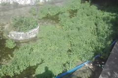 ΜΟΝΑΣΤΗΡΑΚΙ Βόνιτσας: Το ποτάμι της εγκατάλειψης!