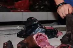 Iνδονησία: Εξακολουθεί να λειτουργεί αγορά που πουλά νυχτερίδες