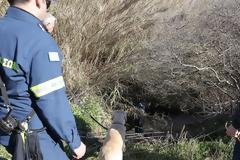 Βρέθηκε πτώμα σε κανάλι