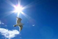 Ανεβαίνει κι άλλο η θερμοκρασία - Σε ποιες περιοχές θα «χτυπήσει» 30αρια