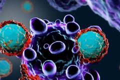 Πανεπιστήμιο Αθηνών: Έκτακτη επικαιρότητα για τη θεραπεία της νόσου COVID-19