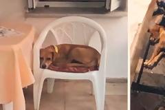 Ασυνείδητος σκόρπισε φόλες στο Χωριό ΜΑΧΑΙΡΑΣ Ξηρομέρου