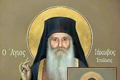 «Τι ωραία παλατάκια είναι αυτά! Μήπως υπάρχει και για μένα κανένας τόπος εδώ;»