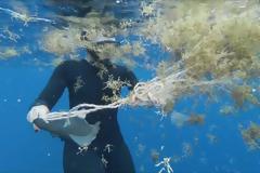 Στη Μεσόγειο εντόπισαν τη μεγαλύτερη ποσότητα μικροπλαστικών