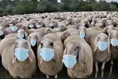 Επιστροφή στη κανονικότητα…