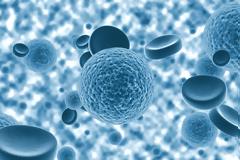 Τι Μπορούμε να Κάνουμε Σήμερα για να Θωρακίσουμε την Υγεία μας