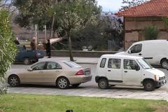 ΗΜΑΘΙΑ.....Ο  Δήμος Βέροιας μάζεψε τους επιθετικούς σκύλους από τους Αγ. Αναργύρους