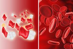 Θαλασσαιμία, Μεσογειακή Αναιμία. Τι είναι και τι συμβαίνει στην Ελλάδα; Διαφοροδιάγνωση, Φορείς