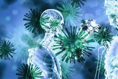 Η προέλευση του νέου κορονοϊού