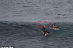 Καρχαρίας: Η τρομακτική στιγμή της επίθεσης σε Γάλλο σέρφερ