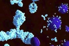 Αντίσωμα που εξουδετερώνει τον κορονοϊό ανακάλυψε ερευνητικό ινστιτούτο στο Ισραήλ