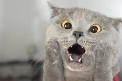 Περιέργα ΠΡΑΓΜΑΤΑ....