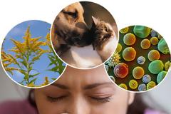 Αλλεργία. Τι είναι και πώς μπορεί να αντιμετωπιστούν οι αλλεργίες; Υπάρχει τρόπος πρόληψης;