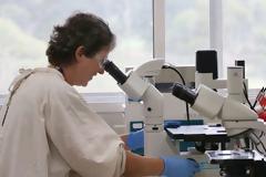 Καλά νέα: Αντισώματα κατά του ιού παρήγαγε το εμβόλιο της Moderna, παρόμοια αυτών που έχουν νοσήσει