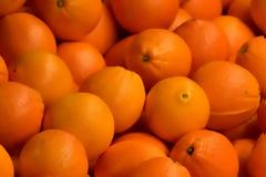 «Σήκωσαν» πάνω από δύο τόνους πορτοκάλια από αγρόκτημα!