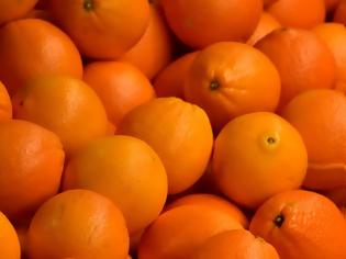 Φωτογραφία για «Σήκωσαν» πάνω από δύο τόνους πορτοκάλια από αγρόκτημα!