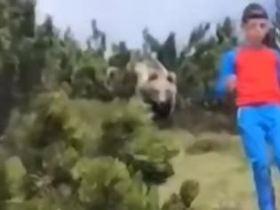 Φωτογραφία για Δωδεκάχρονος τέρας-ψυχραιμίας κατέβηκε λόφο με μια αρκούδα στο κατόπι του!βίντεο