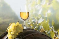 Αντιμέτωπος με σοβαρά προβλήματα ο οινοποιητικός κλάδος λόγω κορωνοϊού