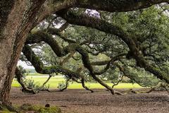 Λαϊκή Συσπείρωση Δυτικής Ελλάδας: 