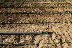 Η Ελλάδα κινδυνεύει με ερημοποίηση στο 30% του εδάφους της